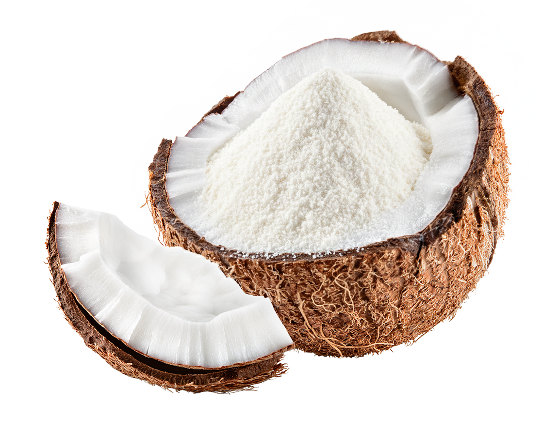 Organic Coconut Milk Powder