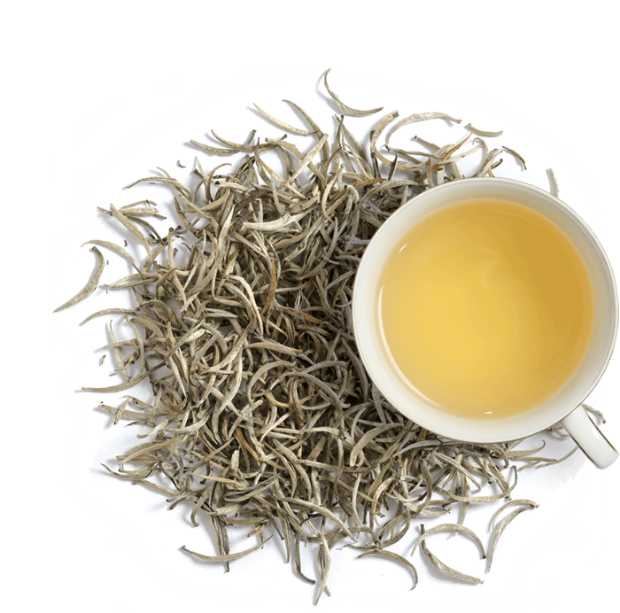 Зеленый чай шри ланка. Белый чай на Цейлоне. Silver Tips чай Шри Ланка. Белый цейлонский чай. Белый чай листовой.